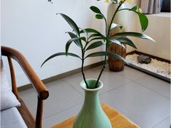 -小茶闲舍·观景商务茶馆(广州塔店)