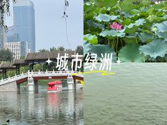 -西海子公园