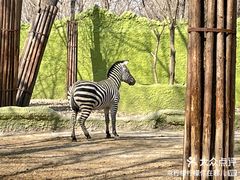 -北京野生动物园