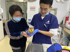 -爱侣宠医·鹦鹉专科·小型哺乳类·异宠专科(灵石路店)