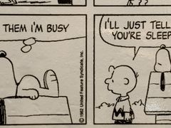 -史努比缤纷世界