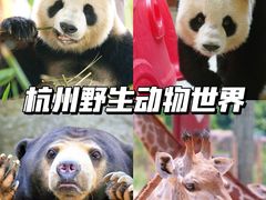 -杭州野生动物世界