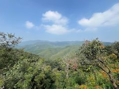 -北京西山国家森林公园