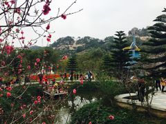 -丹樱生态园