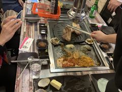 -海抱猪