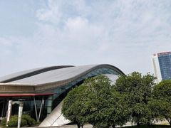 -合肥大剧院