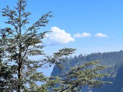 -瓦屋山景区