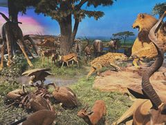 -国家自然博物馆