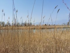 -野鸭湖国家湿地公园