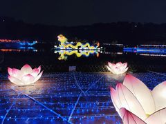 -飞凤山奥体公园