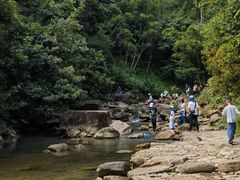 -广州白江湖森林公园