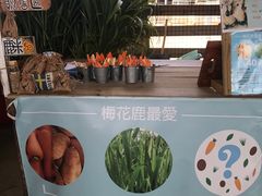 -鹿境梅花鹿生态园区