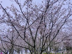 -幕燕滨江·长江观音景区