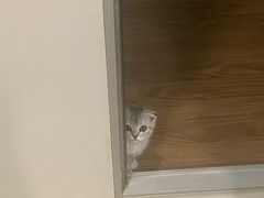 -宠颐生宠物医院·犬猫全科·皮肤科(商业街店)