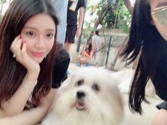 -TrueLove @ Neverland (Husky Cafe)