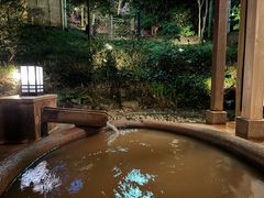 -有马温泉 竹取亭円山温泉旅馆