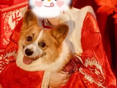 -青春加萌照相馆