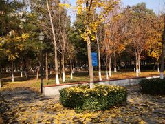 -庄怡公园