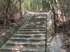 -东莞市大岭山森林公园