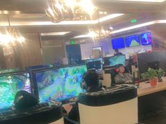 -网鱼电竞(杨浦中原店)