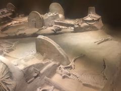 -洛阳周王城天子驾六博物馆