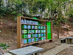 -上海佘山国家森林公园天马山园