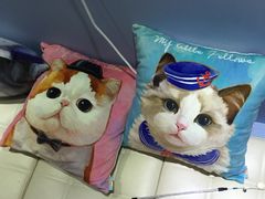 -喵的天空名猫咖啡馆·撸猫·猫舍·用品