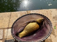 -酷鱼垂钓CLUB(朝阳区博大路店 )