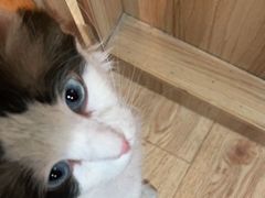 -白兔子密室(长寿路店)