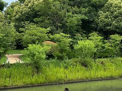 -同里国家湿地公园