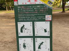 -奈良公园