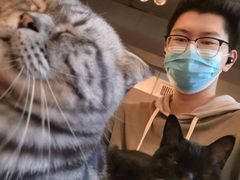 -萌喵咖啡屋(人民东路4号口M16商铺店)