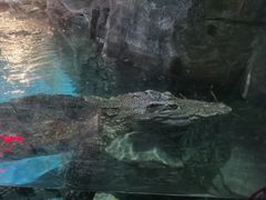 -石家庄海洋公园