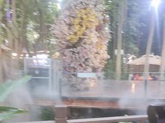 -二荆条·蜀鲜汇城市森林火锅