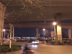 -志龙皇冠吃货椰子铺