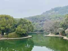 -柯岩风景区