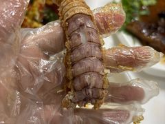 -阳江餐厅·30年老字号·粤菜海鲜大排档