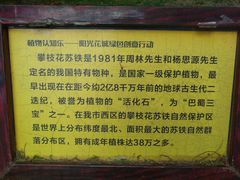 -攀枝花公园