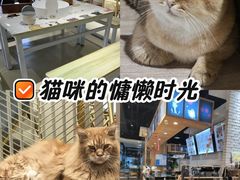 -藏猫猫咖啡主题馆(中央大道店)