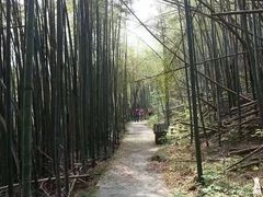 -大围山峡谷漂流