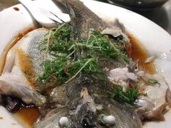 -百年银屏蚝烙·潮汕菜·非遗(乐山店)