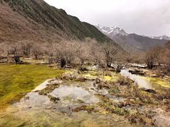 -黄龙山原始森林景区