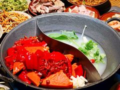 -阳阳老火锅(小南门店)