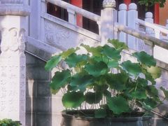 -灵谷景区