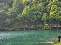 -龙坞茶村