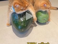 -品大三·南京菜(大行宫店)