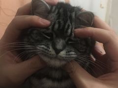 -瑞派宠物医院·24h·骨外科·皮肤科·全科宠物医疗转诊中心(沈阳浑南院)