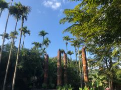 -海南槟榔谷黎苗文化旅游区