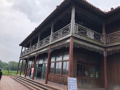 -荷塘月色湿地公园·向阳花洲