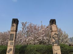 -元大都城垣遗址公园